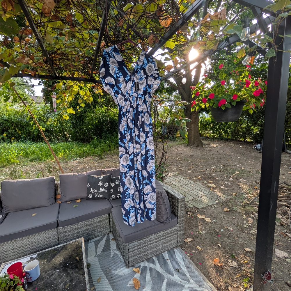 Floral Maxi Dress in Blue and White